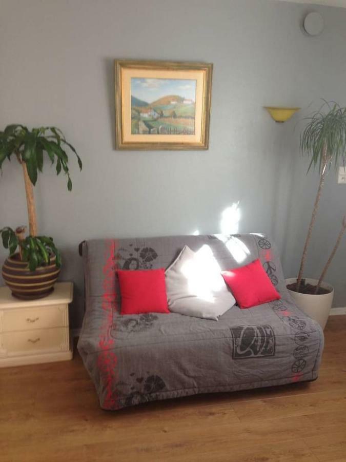 Petit Appartement Douillet Tres Bien Situe Biarritz Exterior photo